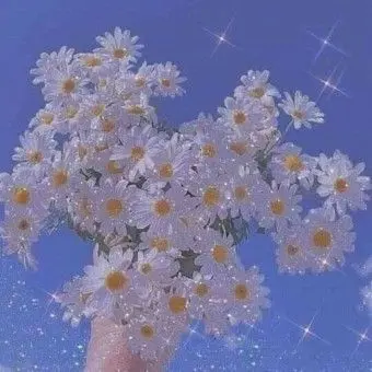 Kimdokja.0215의 子