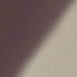 나ㅊ