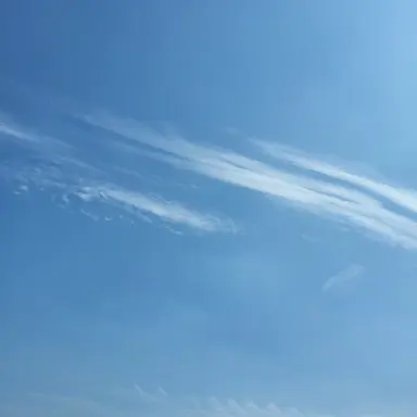 Profile image of 유성현