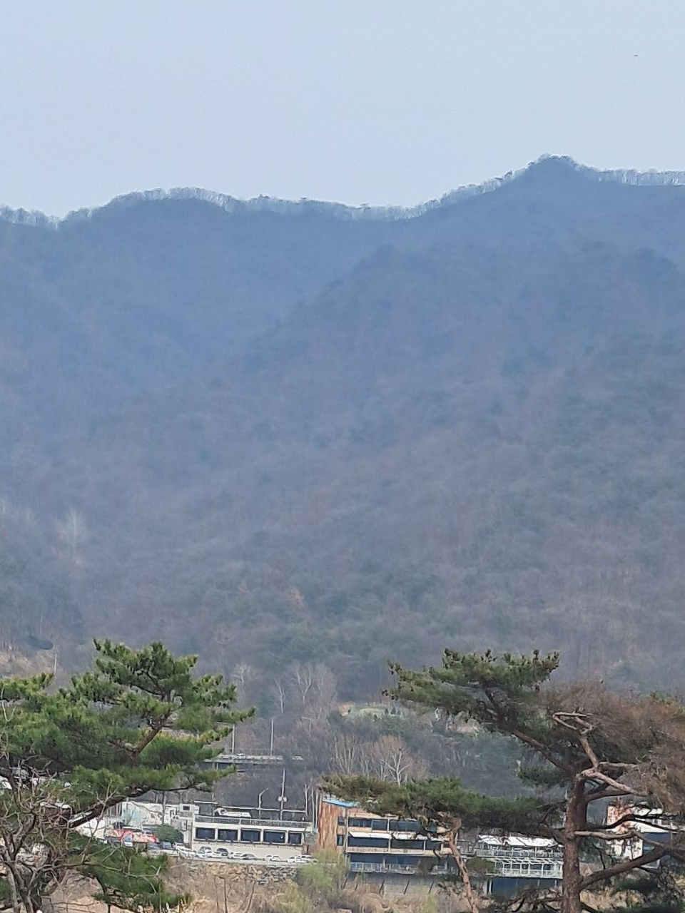 조선시대 픽셀리(어린이) 대표 이미지