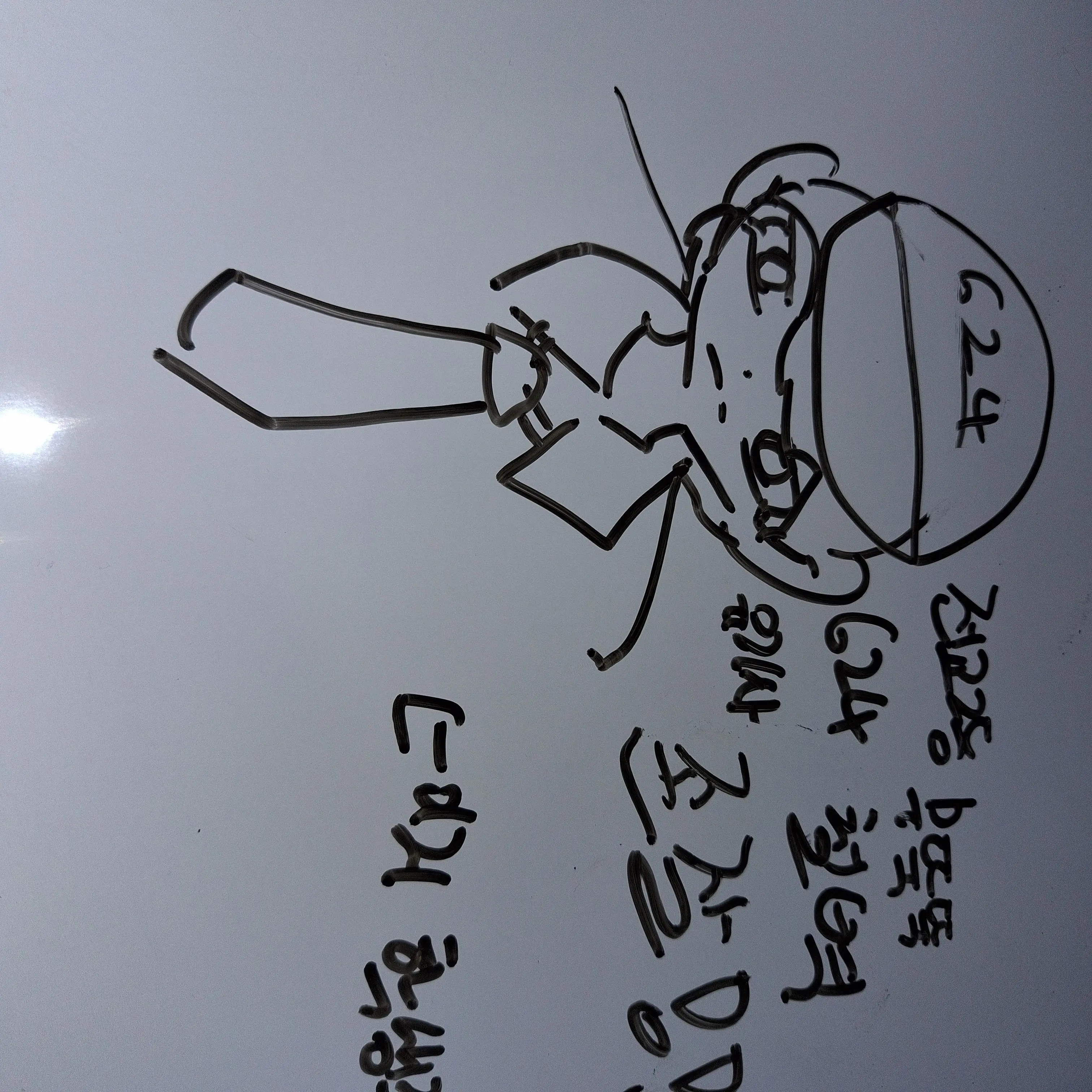 SicklyStage8925의 유기사 꼬시기