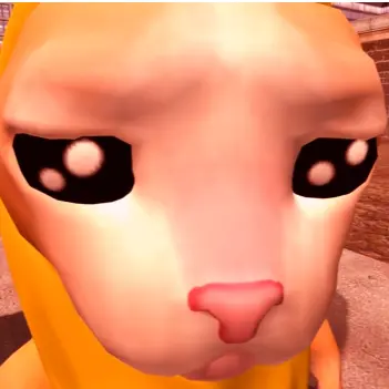 Profile image of 해피캣