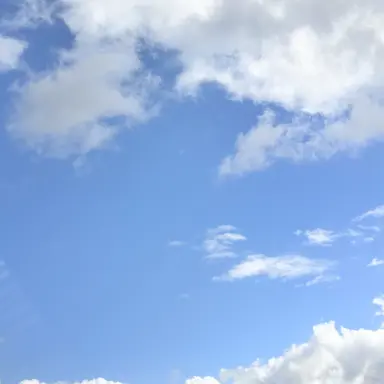 Profile image of 잠뜰