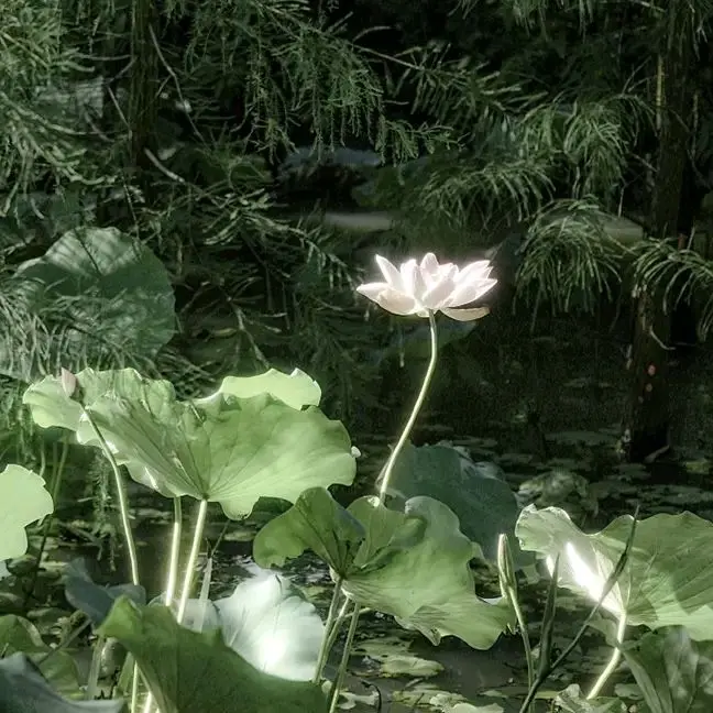 I_LOVE_SUHYEN의 0911