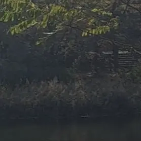 FestalMind9989의 여자친구를 고양이로 만들었다??