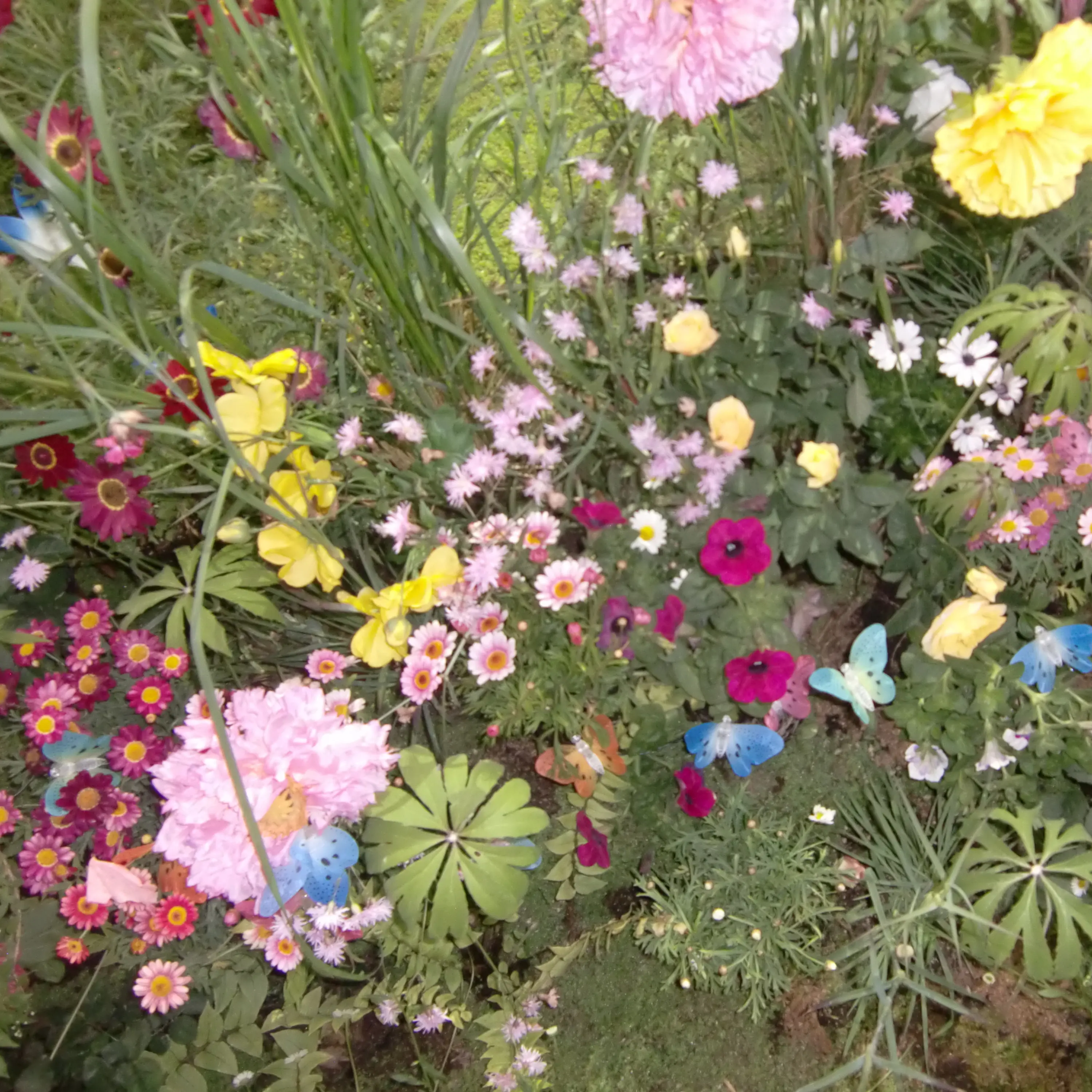 ThickOboe0517의 flower