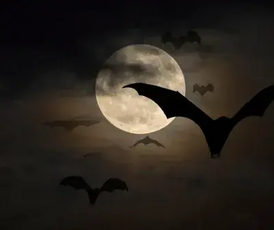 WarmFence0863의 Vampire Group