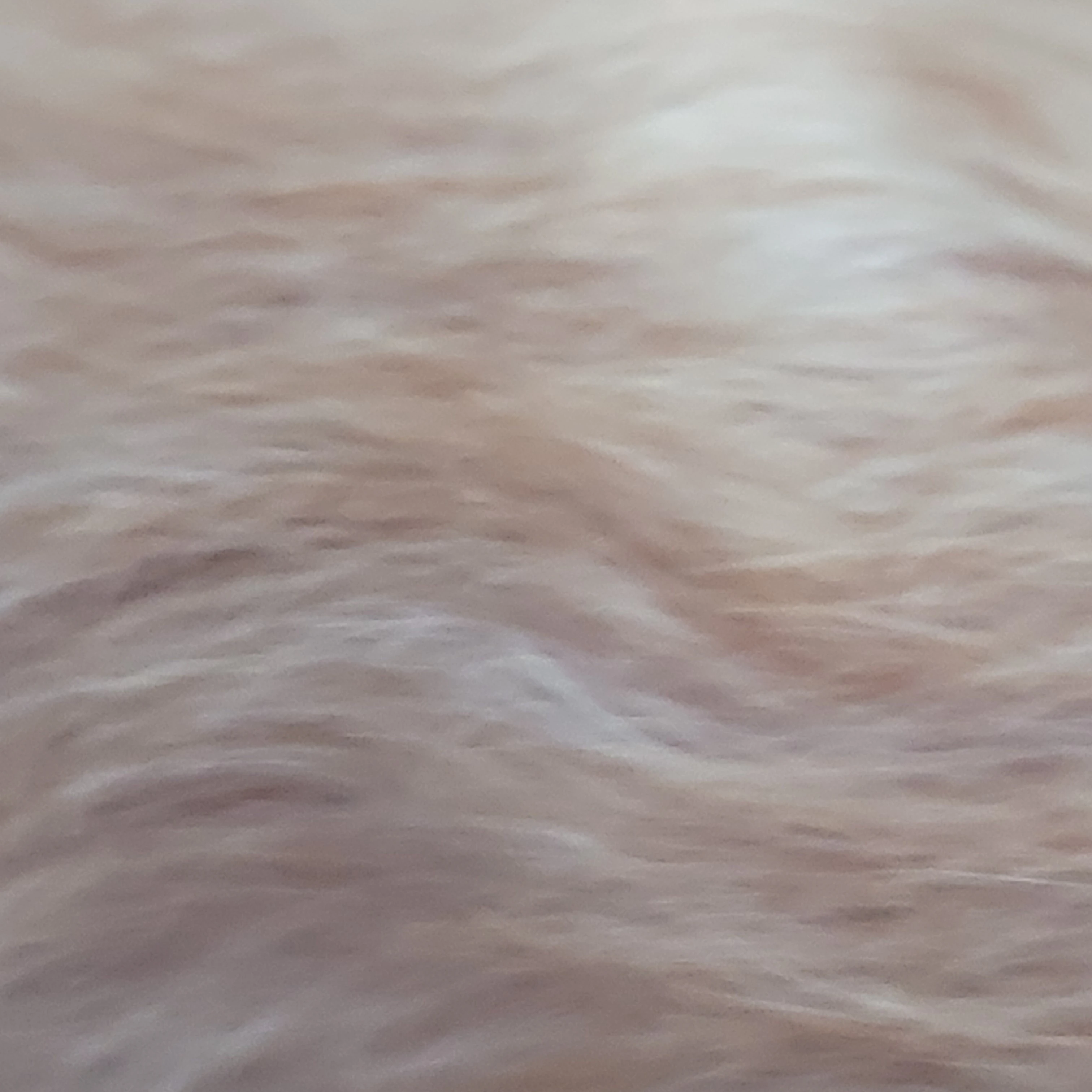 김운핰