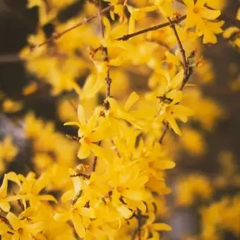 Profile image of 각별