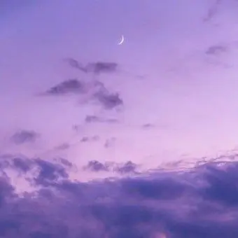 Profile image of 수현