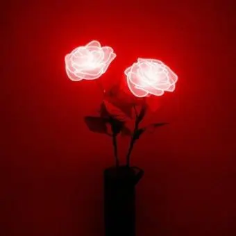 Profile image of 라더