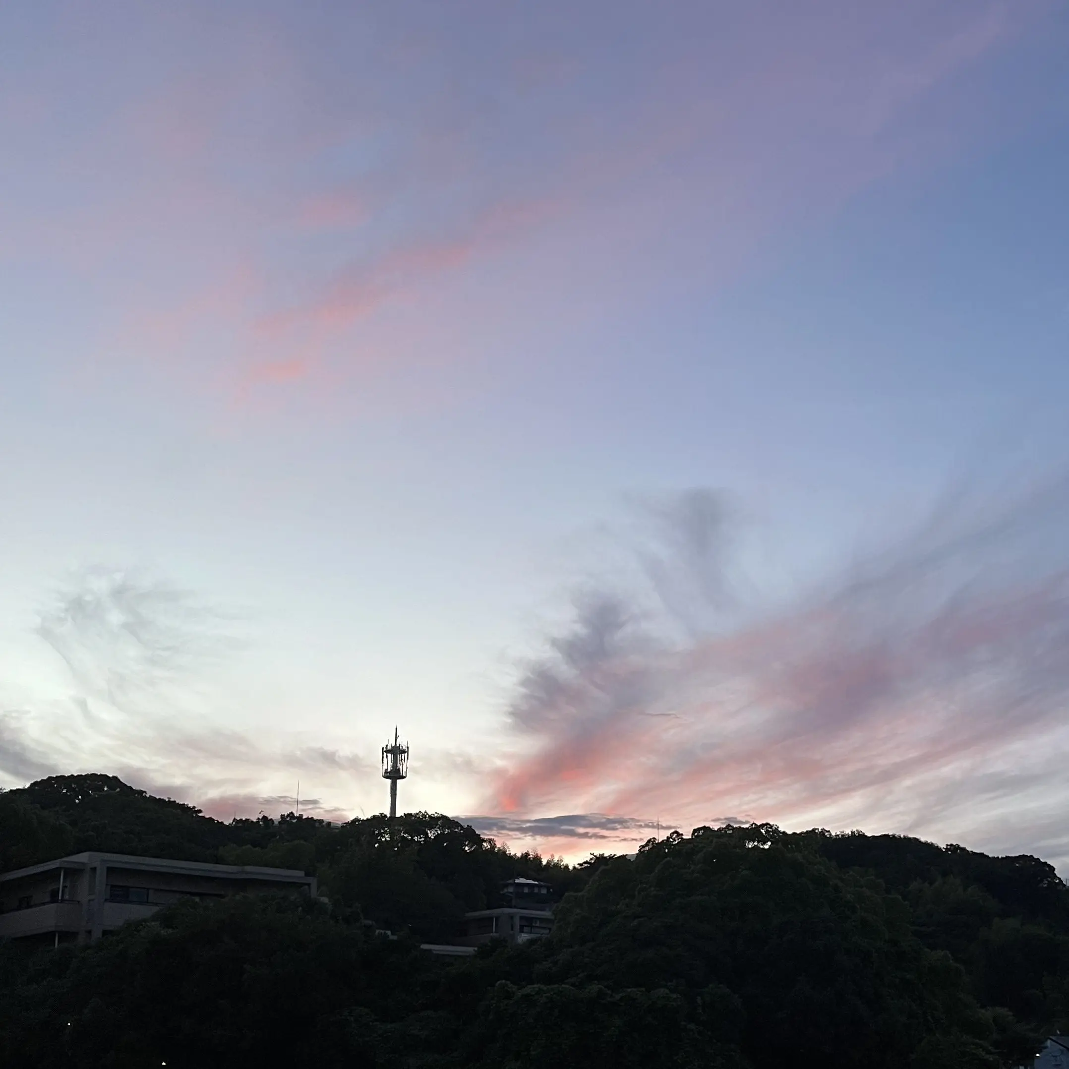 takoyakibanana의 生徒会長の秘密。
