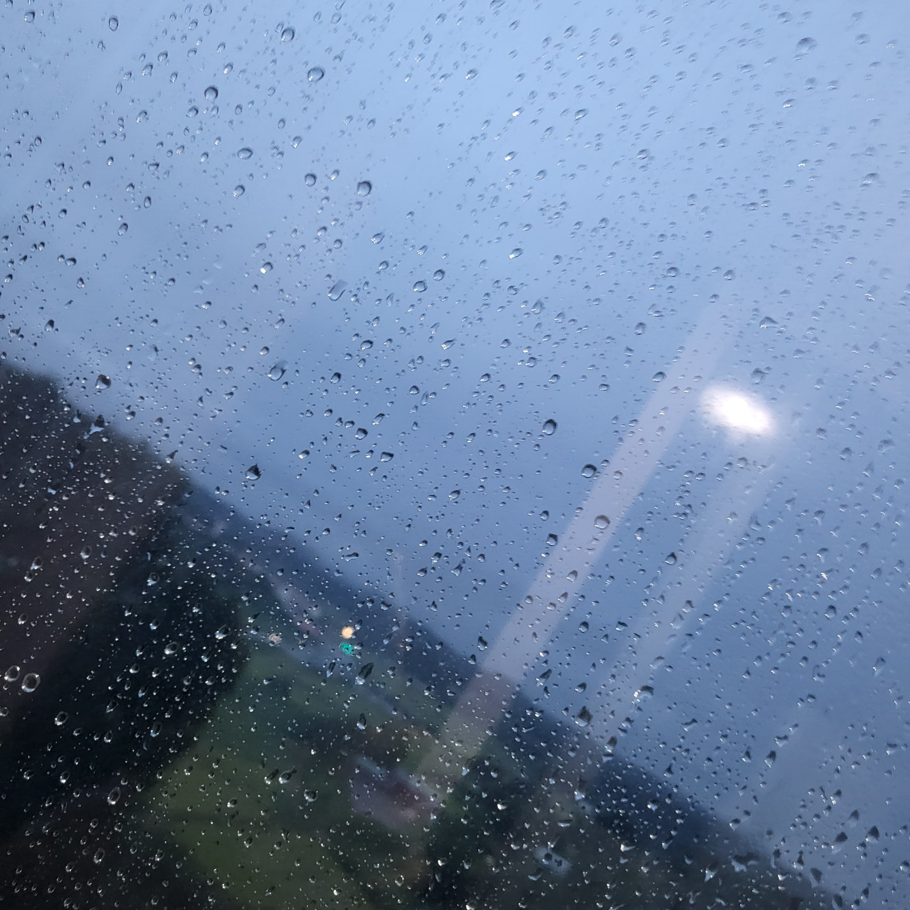 미수반+(여우) 대표 이미지
