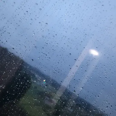 Profile image of 미수반