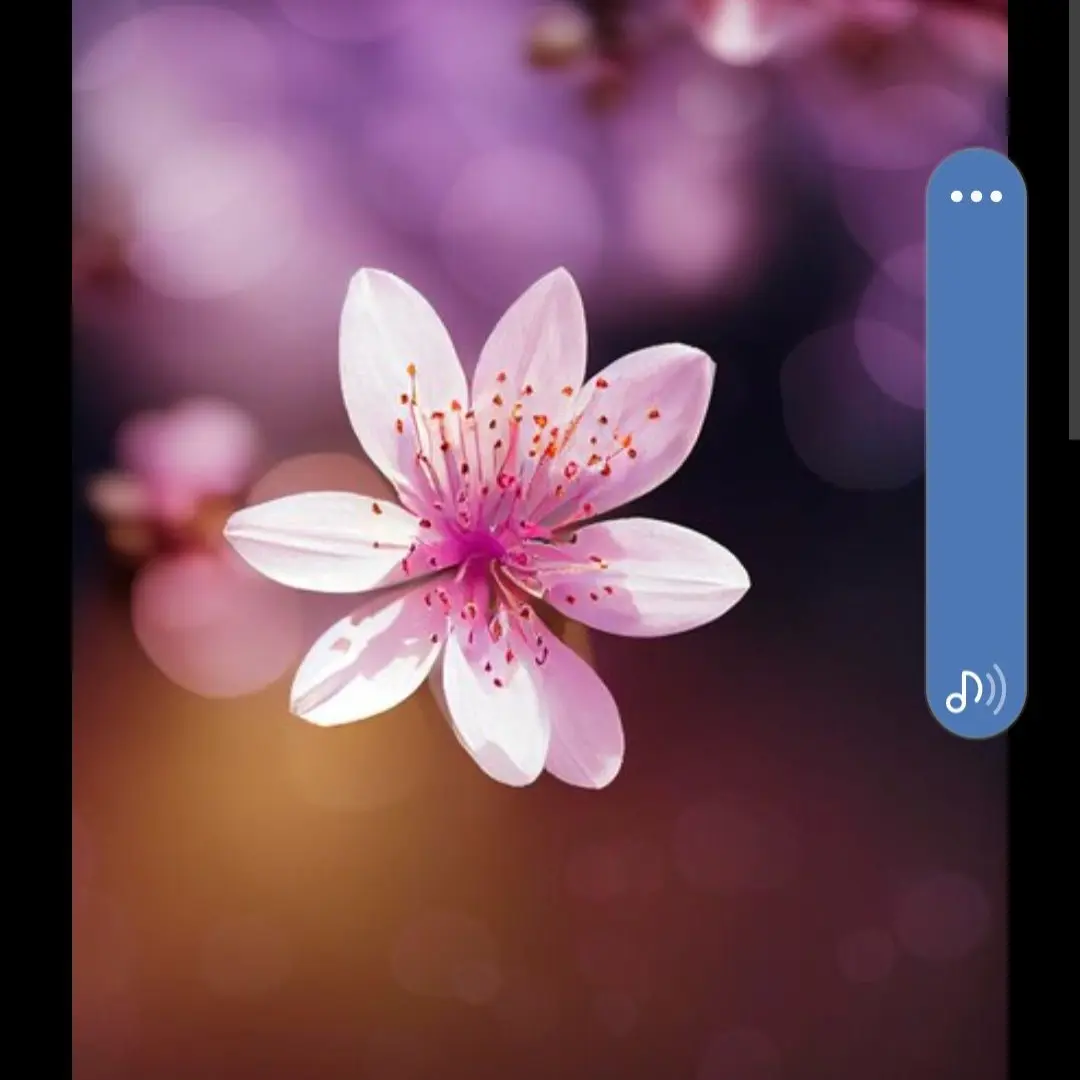 SaltyFeist0200의 아이브 입양 막내 소녀(23살)