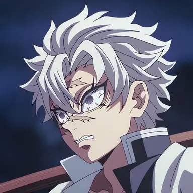 Profile image of Sanemi Shinazugawa
