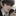 이지오