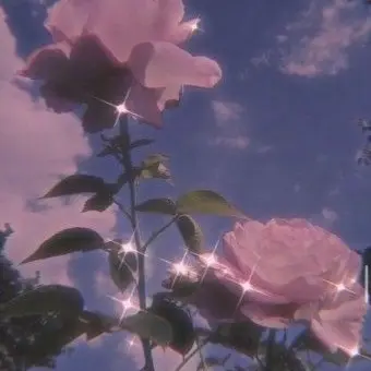 Profile image of 칸로지 미츠리