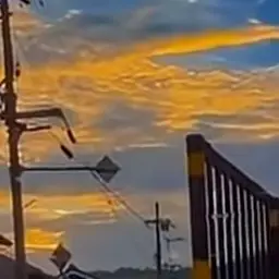 Profile image of 루이쨘