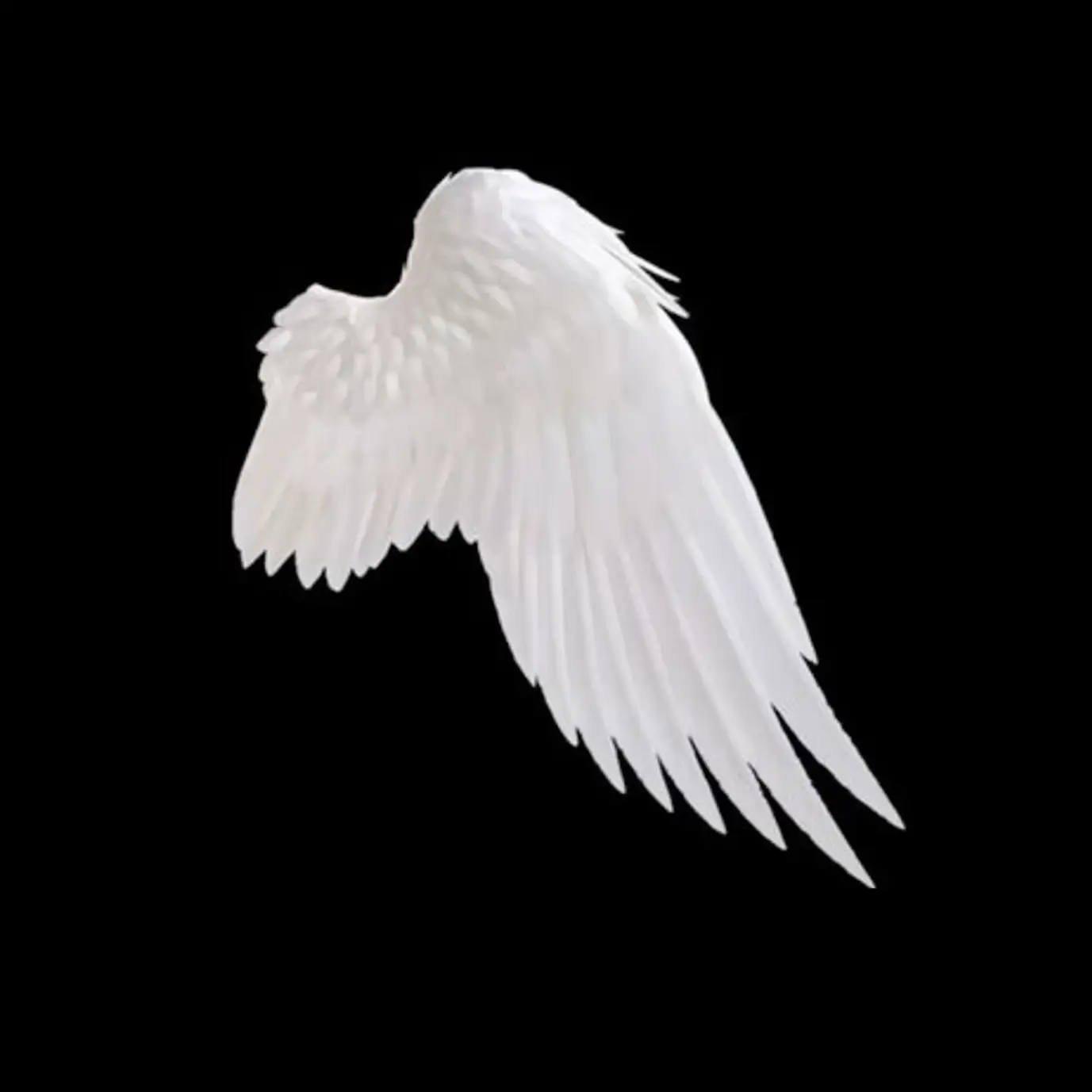 PoWl1의 celestial