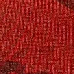 Profile image of 유기사