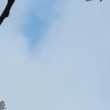 Profile image of 권정열