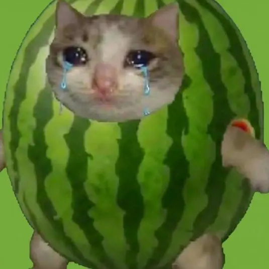 cdeijjirciefwhrfwekuimecifwuhi의 진격의해피캣vs스키비디연합군