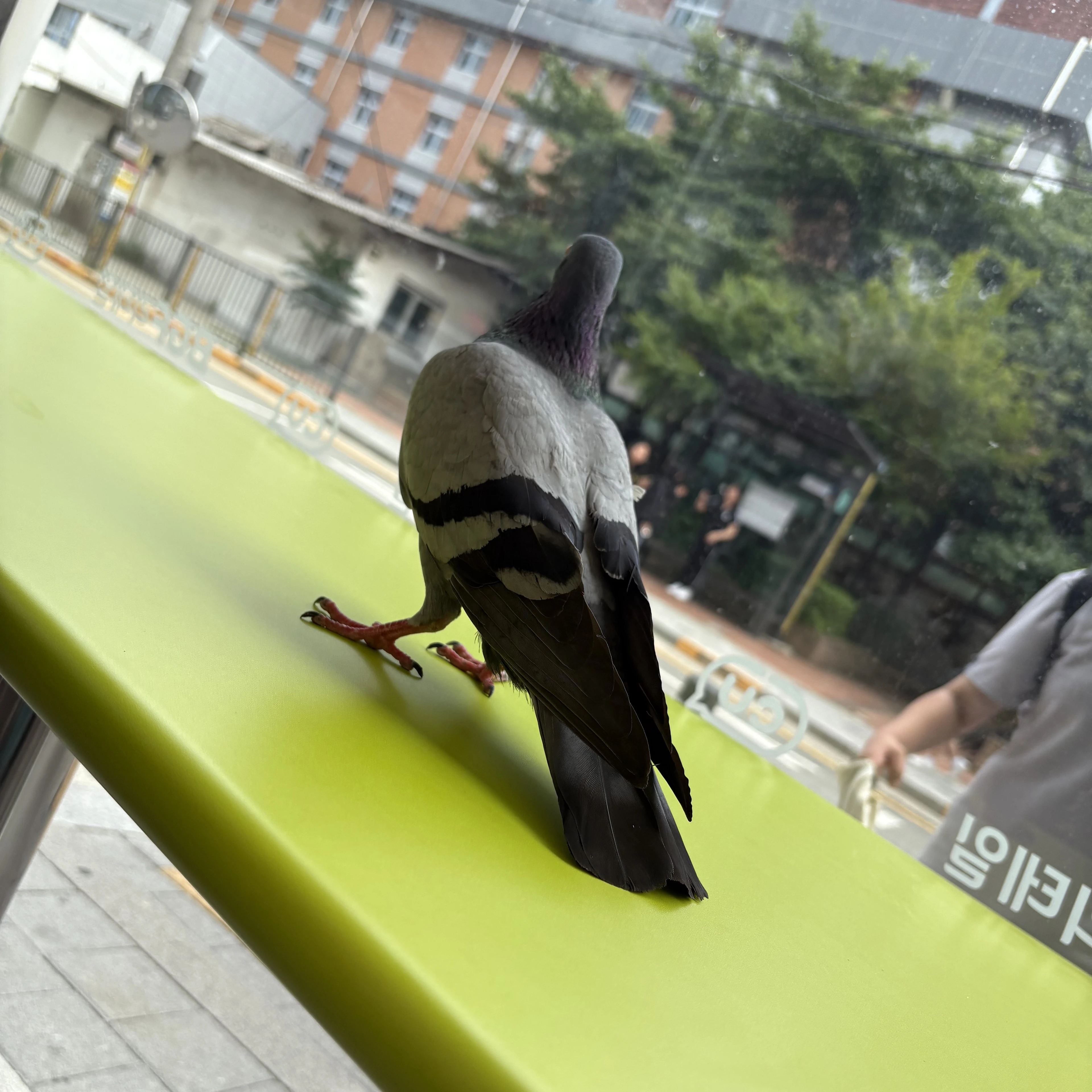 오세훈.
