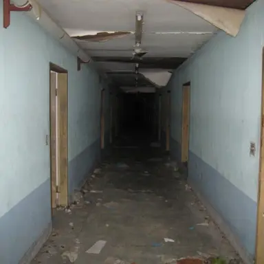 Profile image of 민주주의 정신병문