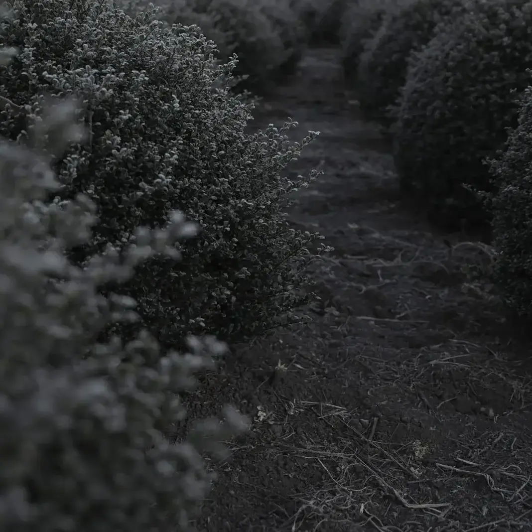 MartyrBrisk3580의 われら最強のふたり