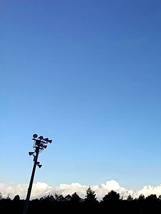 LeafyPuli1751의 僕の事