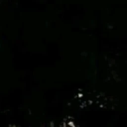 강.태.현