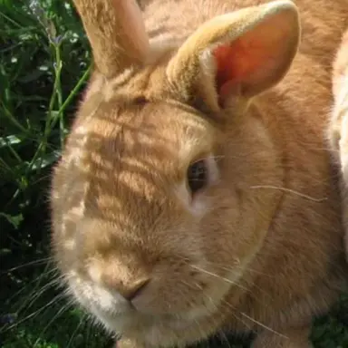 Profile image of 잭스