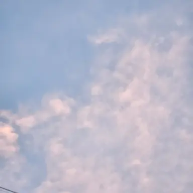 Profile image of 김여우