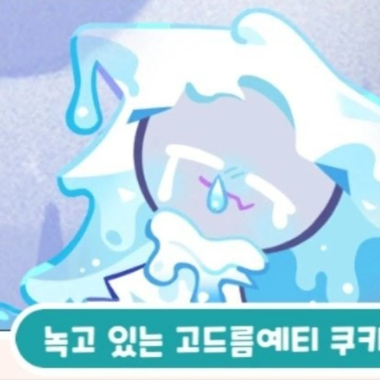 고드름예티 쿠키