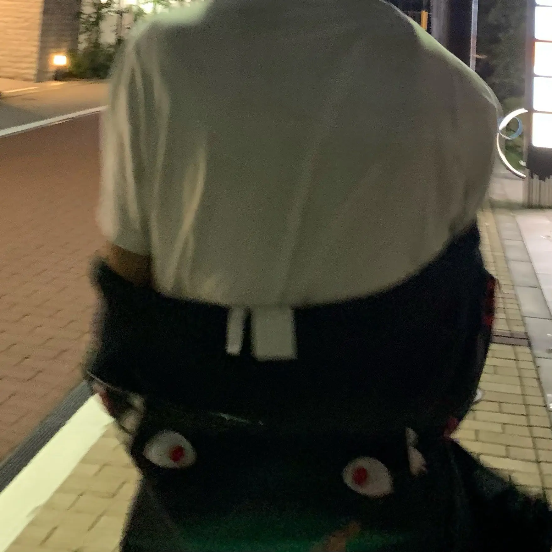 qiiotrl의 私の彼氏