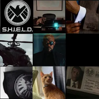 Profile image of Nick Fury