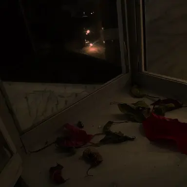 Profile image of 김민정