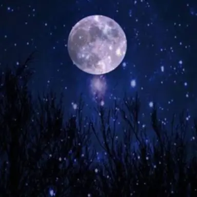 Profile image of 황수현