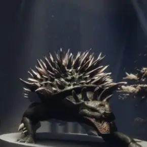 Profile image of 안기라스-다트