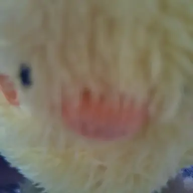 Profile image of 이재김아빠