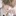 백시훈