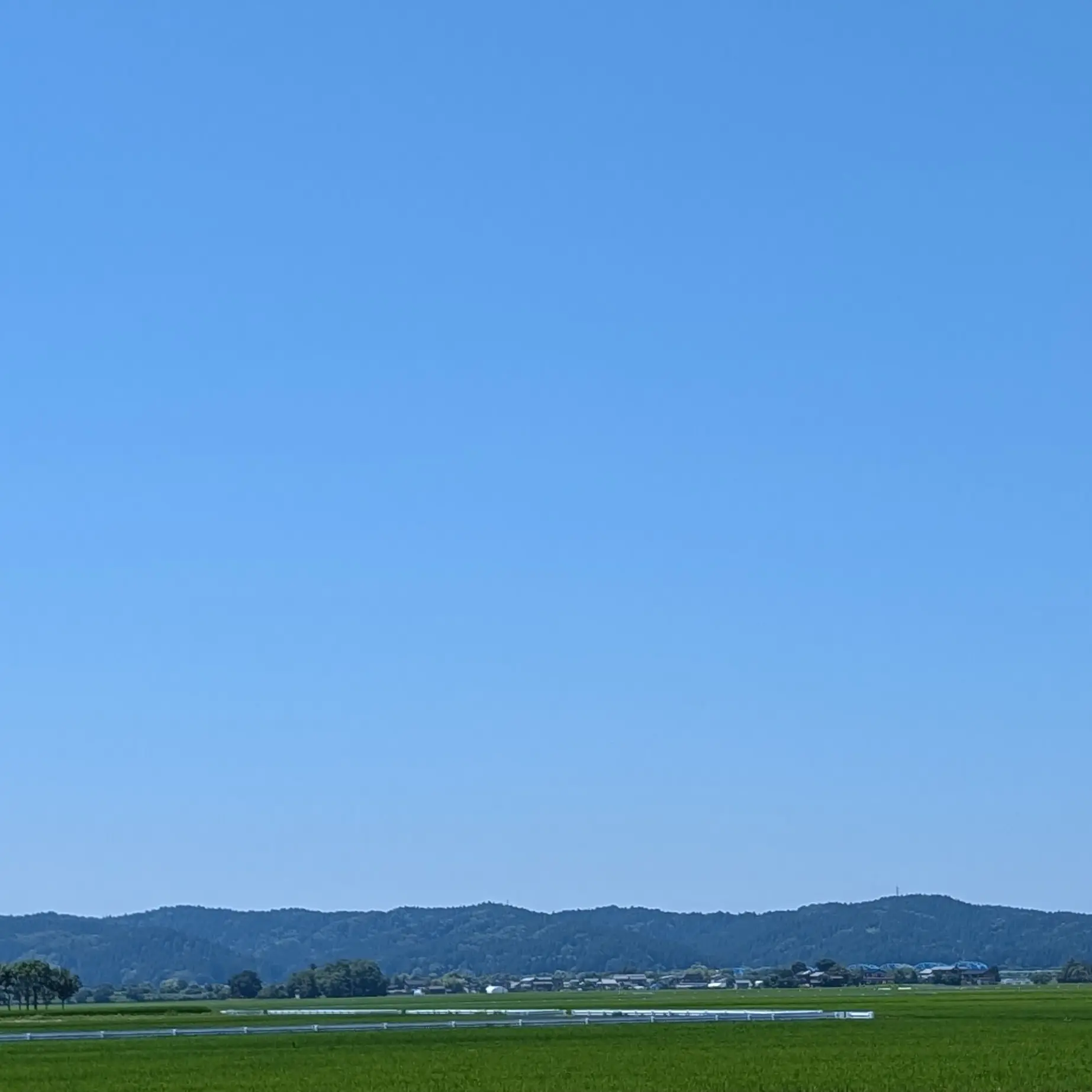 Yuzukosho_umaiyone00의 マネージャーって大変…💦