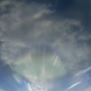 Profile image of スプラウト