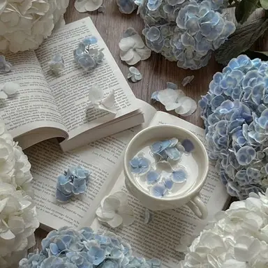 Profile image of 잠뜰