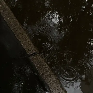 Profile image of 동규태