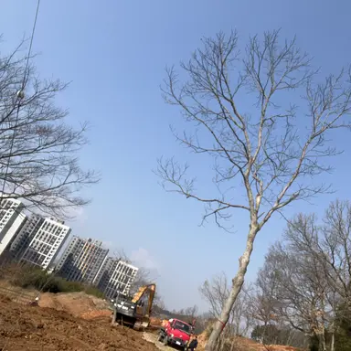 Profile image of ㄱㄷㅎ