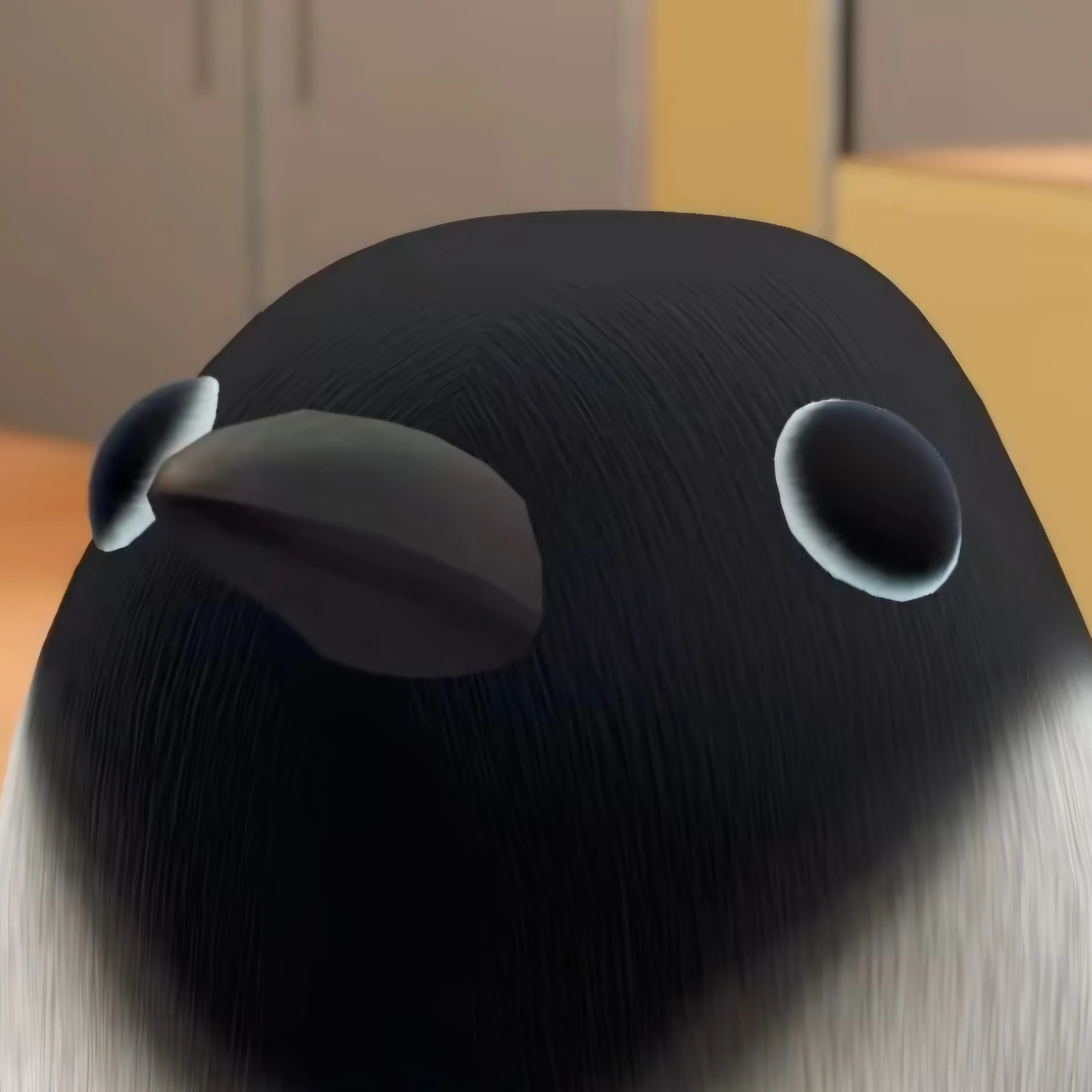 펭귄