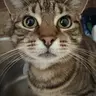 Profile image of Ray