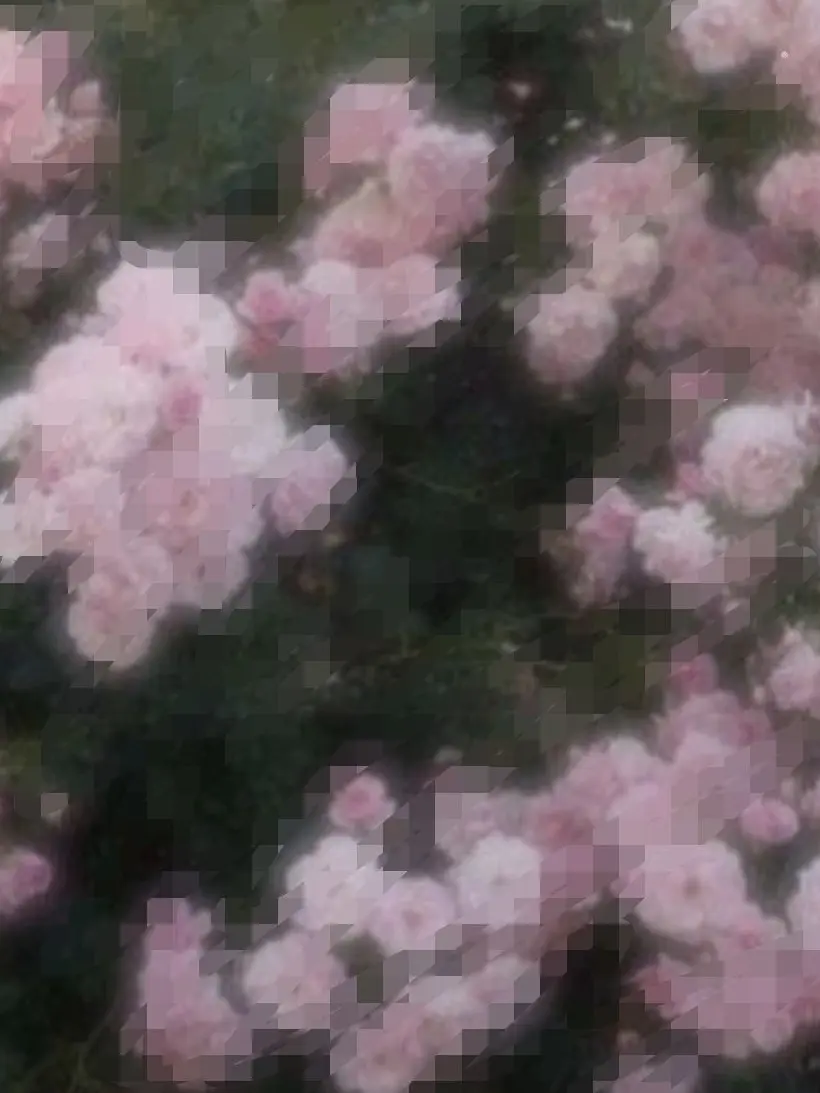 TamestPixel7958의 ✘‎ん だ はず の 君 !?